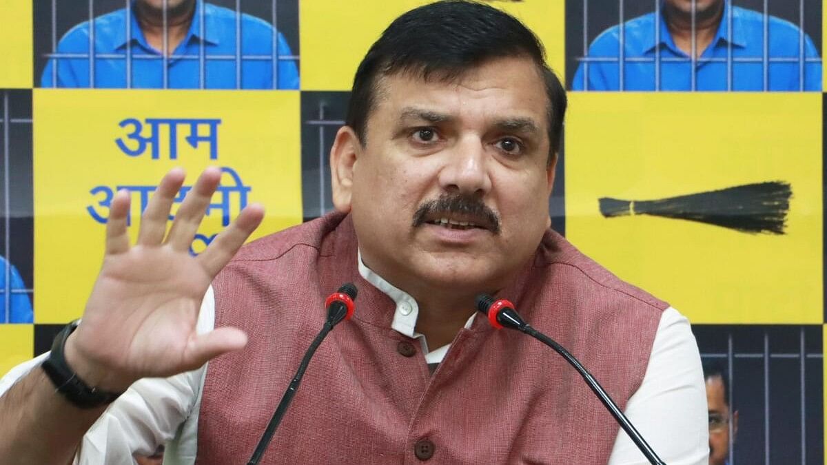 <div class="paragraphs"><p>AAP leader Sanjay Singh.</p></div>