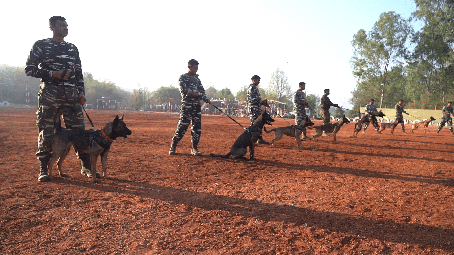 <div class="paragraphs"><p>The dogs were trained at the Central Reserve Police Force’s Dog Breeding and Training School (DBTS) in Taralu.&nbsp;</p></div>