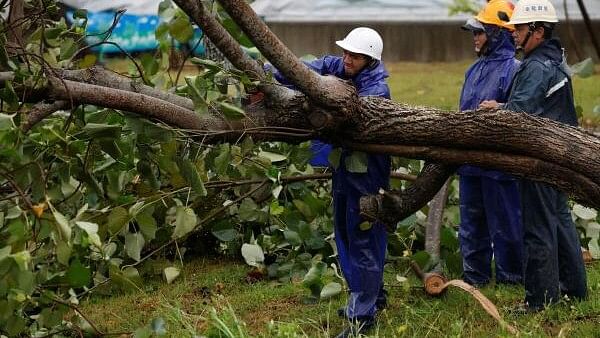 <div class="paragraphs"><p>Workers cut a fallen tree after Typhoon Gaemi passed northern Taiwan in Yilan, Taiwan July 25, 2024. </p></div>