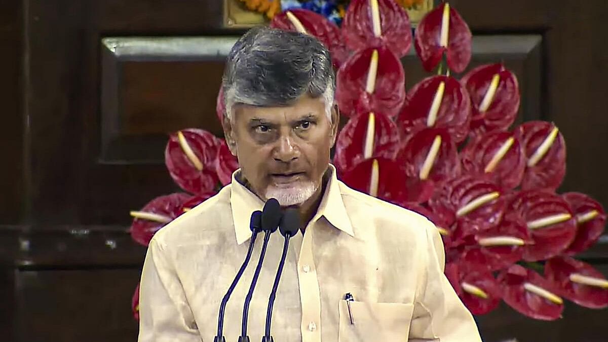 <div class="paragraphs"><p>N Chandrababu Naidu.</p></div>