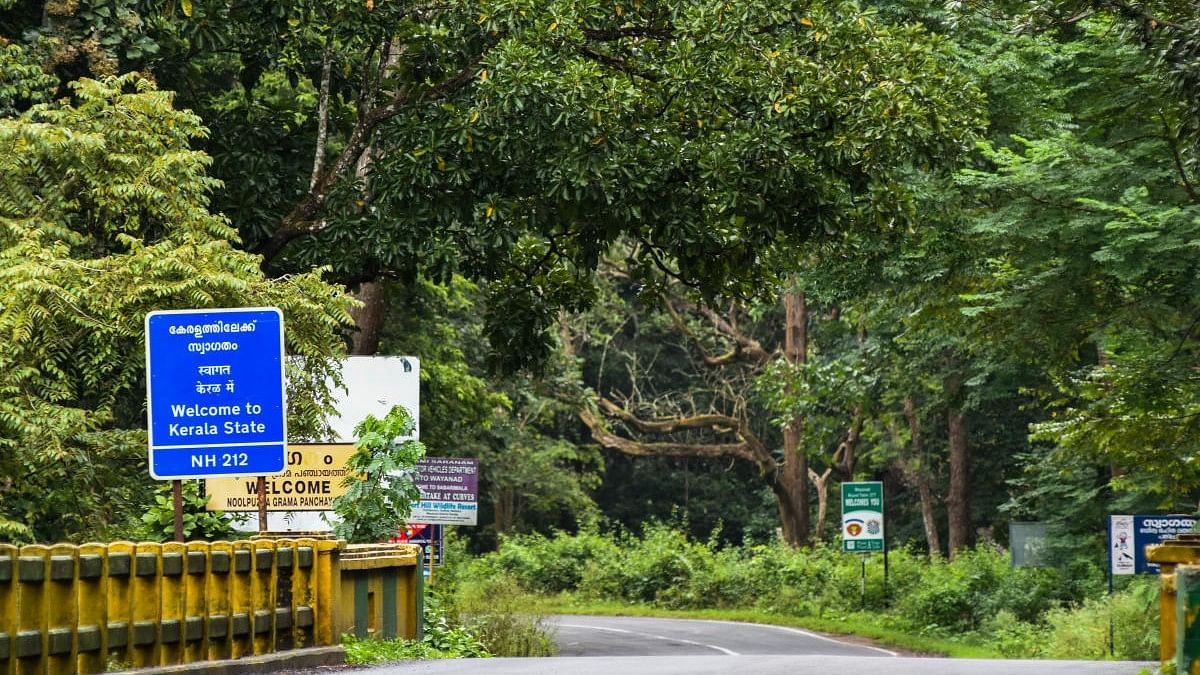 <div class="paragraphs"><p>Representative image of Kerala forests.&nbsp;</p></div>