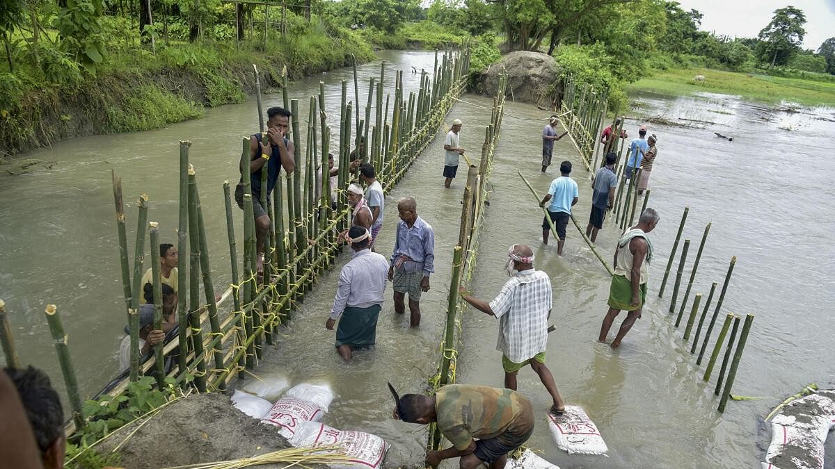 <div class="paragraphs"><p>Villagers repair the embankment breach caused due to floods following rains, in Baksa district of Assam.</p></div>