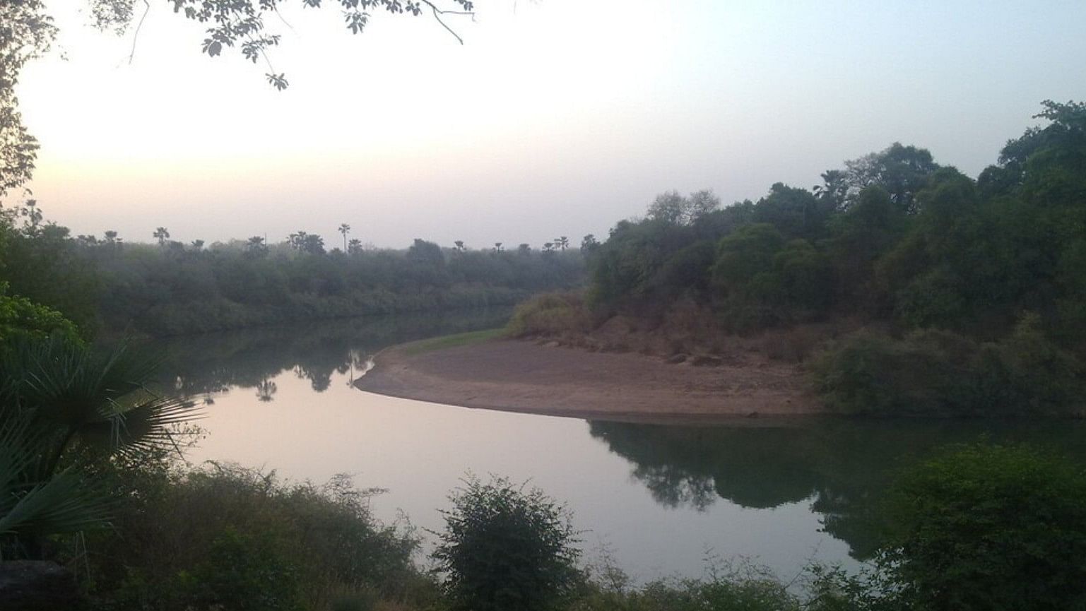 <div class="paragraphs"><p>A view of the&nbsp;Niokolo-Koba National Park in Senegal.</p></div>