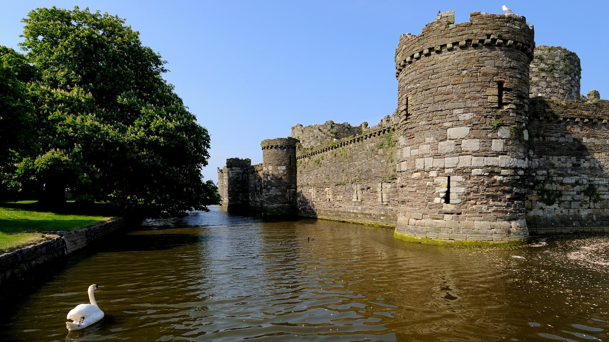 <div class="paragraphs"><p>Beaumaris Castle</p></div>