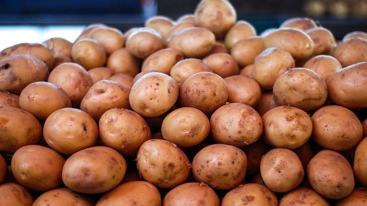 <div class="paragraphs"><p>West Bengal Cold Storage Association (WBCSA) has offered to supply potatoes to the state government at Rs 26 per kg, which is lower than the price in the retail market.</p></div>