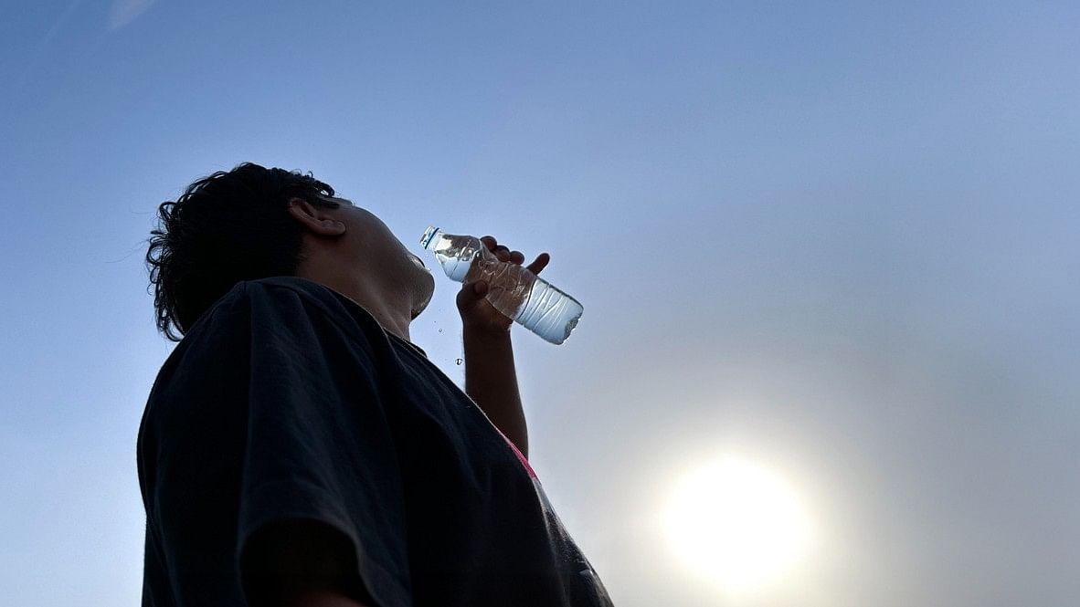 <div class="paragraphs"><p>Representative image of heatwave in Kashmir.</p></div>