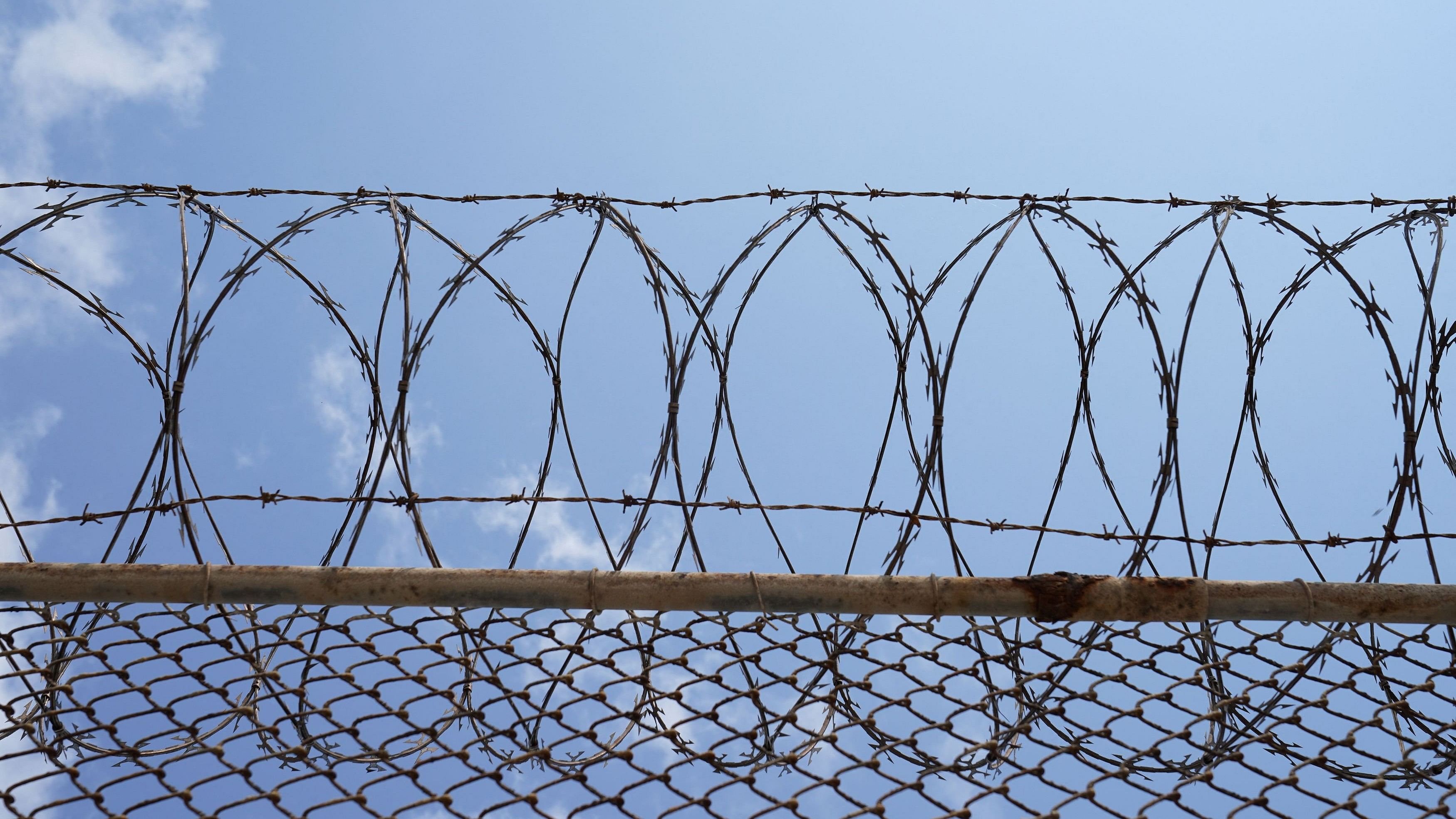 <div class="paragraphs"><p>Representative Image showing barbed wire.</p></div>