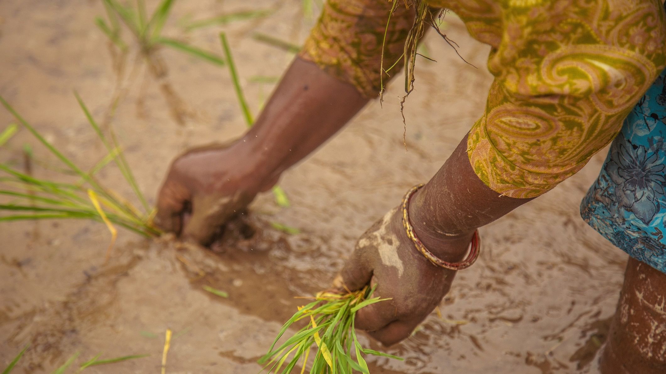 <div class="paragraphs"><p>Representative image of a farmer at work.</p></div>