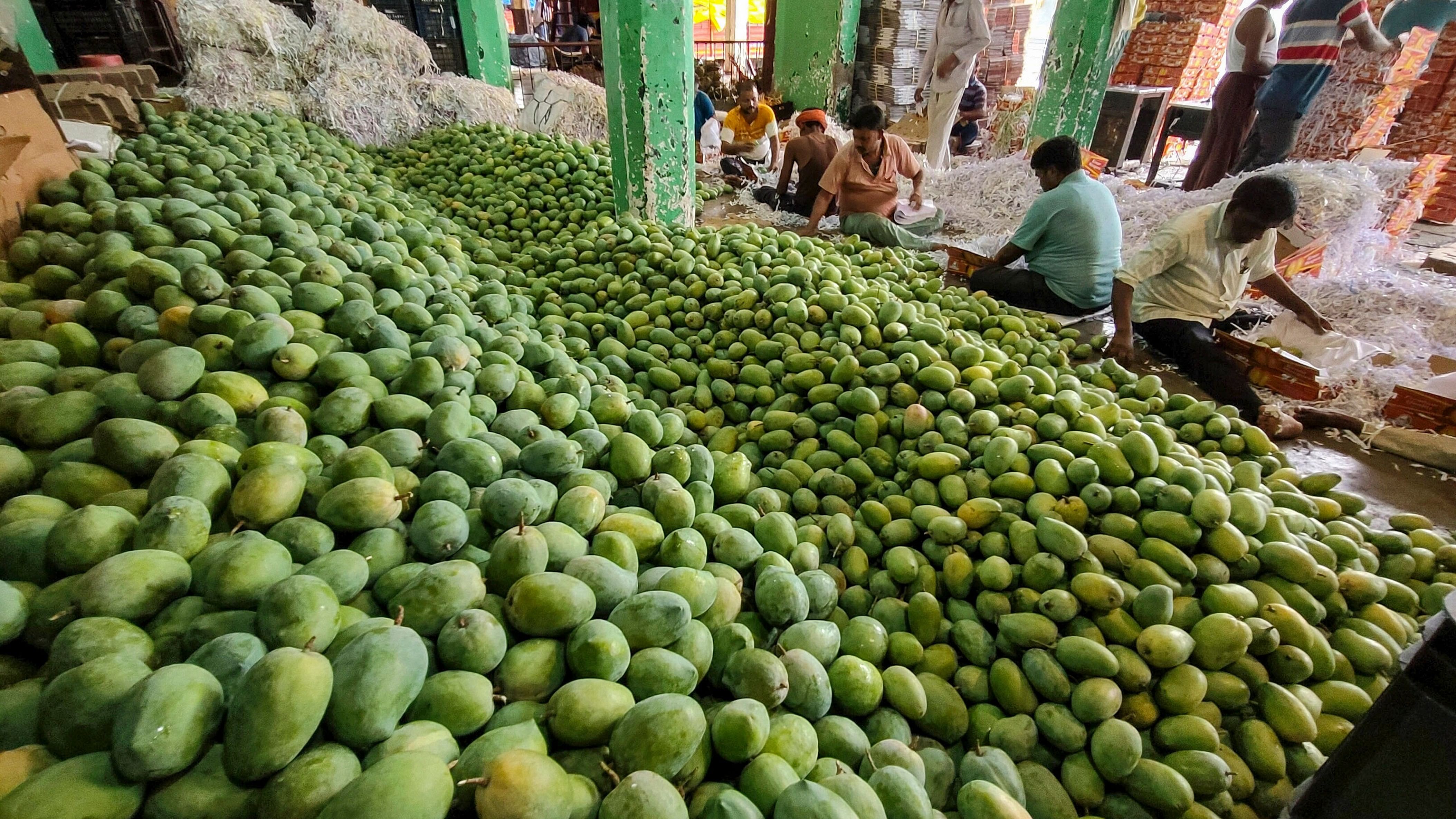 <div class="paragraphs"><p>Mangoes for sale in a market.&nbsp;</p></div>