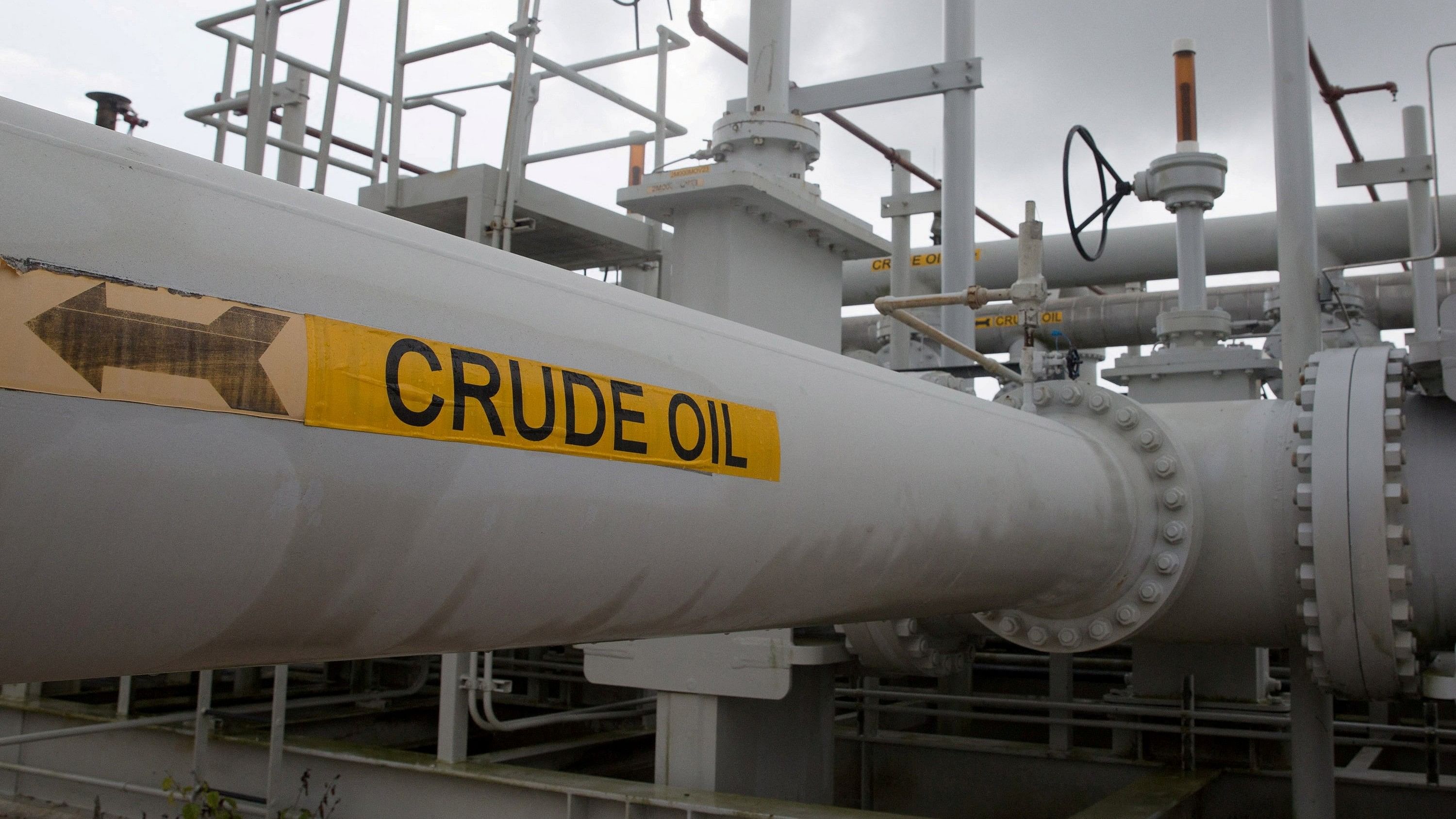 <div class="paragraphs"><p>Representative image showing a&nbsp; crude oil pipeline.</p></div>