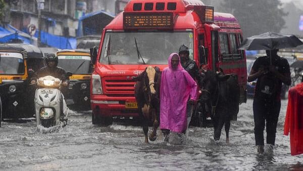 <div class="paragraphs"><p>People walk through a waterlogged SV Road in Andheri West after heavy rainfall in Mumbai on Sunday, July 21, 2024. </p></div>