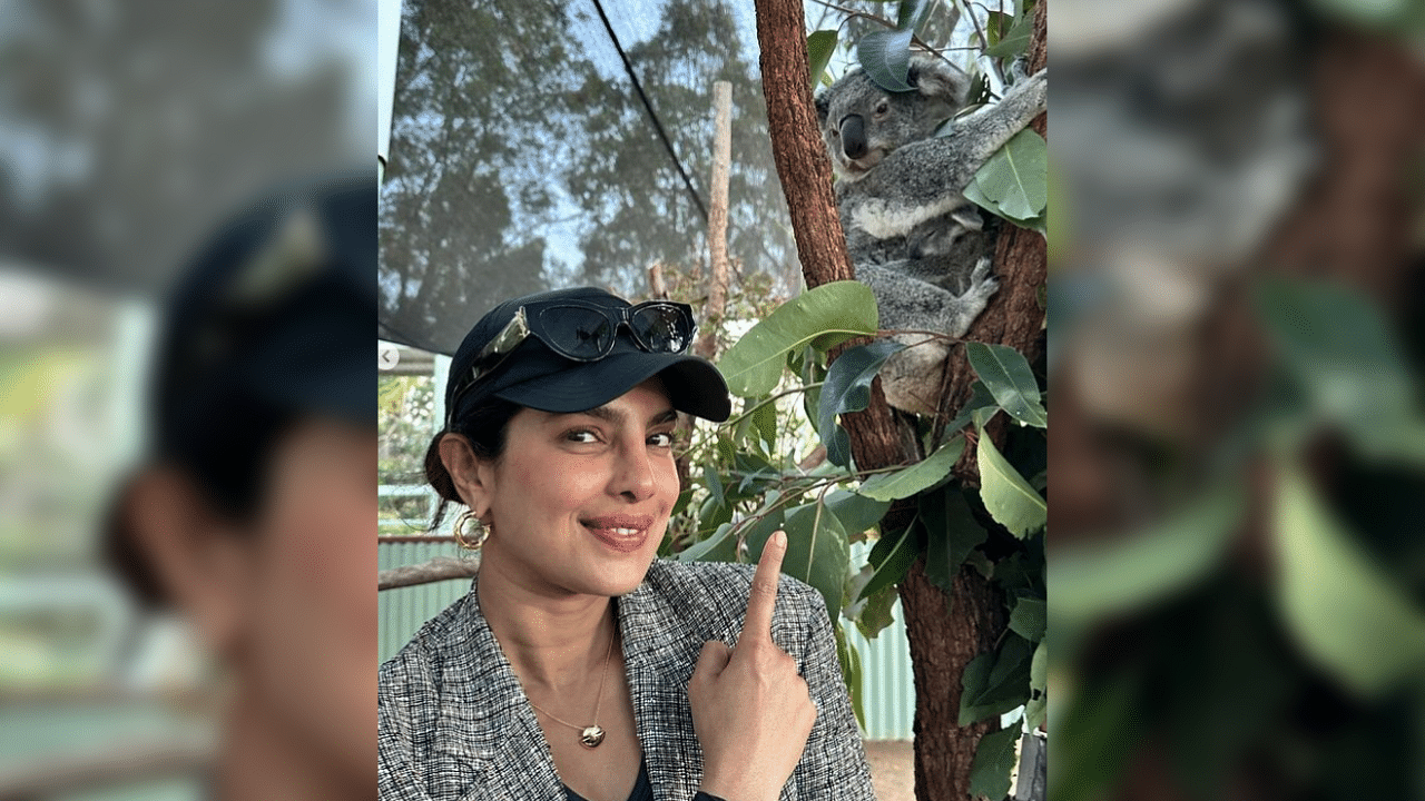 <div class="paragraphs"><p>Priyanka Chopra seen with the koala in the background</p></div>