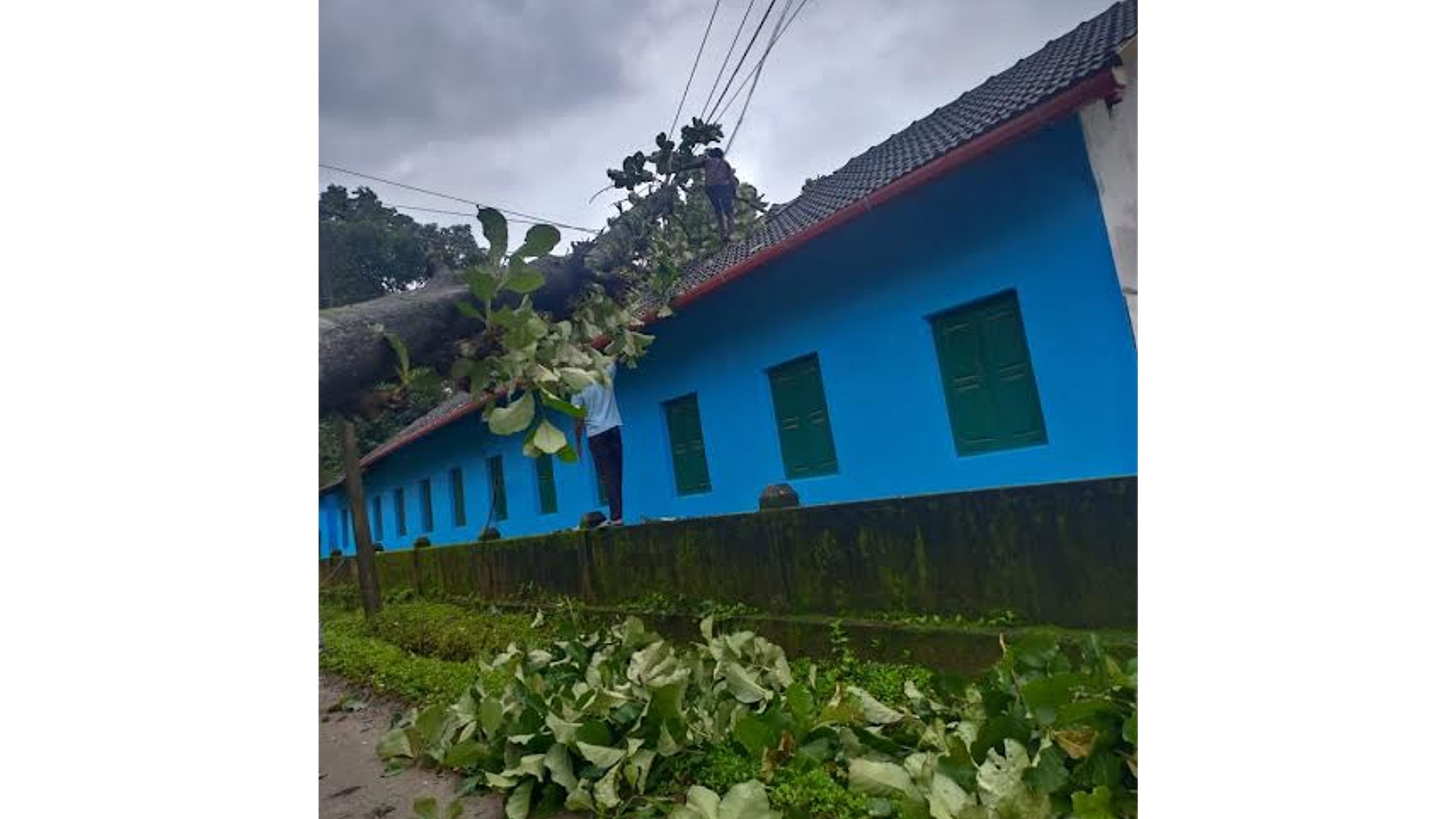 <div class="paragraphs"><p>The roof of a Government Higher Primary School building at Kalathmadu was damaged after a huge tree fell on it at Virajpet taluk.</p></div>