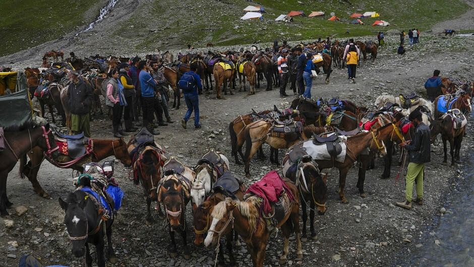 <div class="paragraphs"><p>Ponies lined up for Amarnath yatra. (Representative image)</p></div>