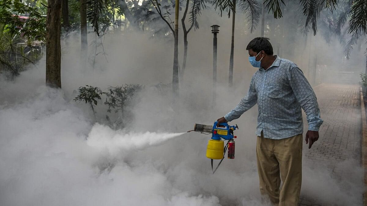 <div class="paragraphs"><p>A municipal worker fumigates a park in a bid to kill mosquitos off amidst reports of highest dengue cases in the city, in Bengaluru.</p></div>