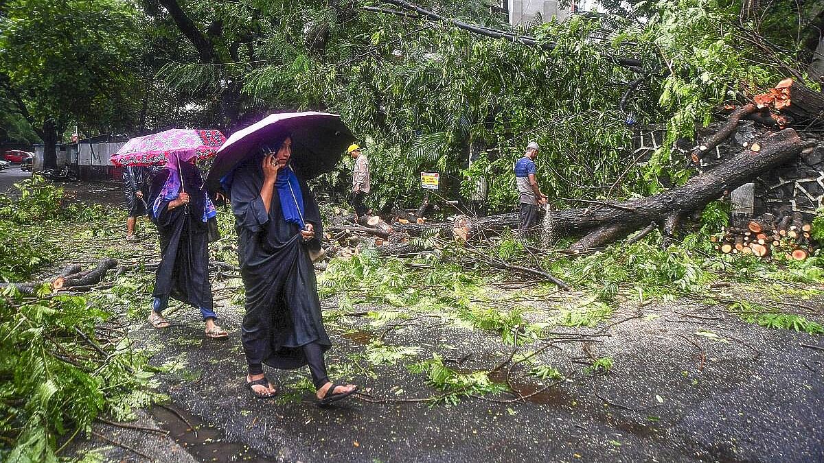 <div class="paragraphs"><p>People walk past workers removing fallen trees during rain, in Mumbai.&nbsp;</p></div>