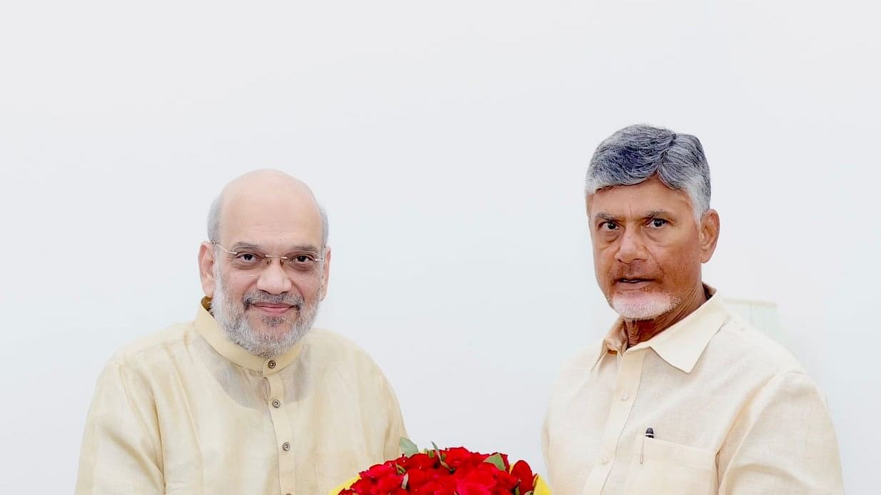 <div class="paragraphs"><p>Amit Shah and&nbsp;N Chandrababu Naidu </p></div>