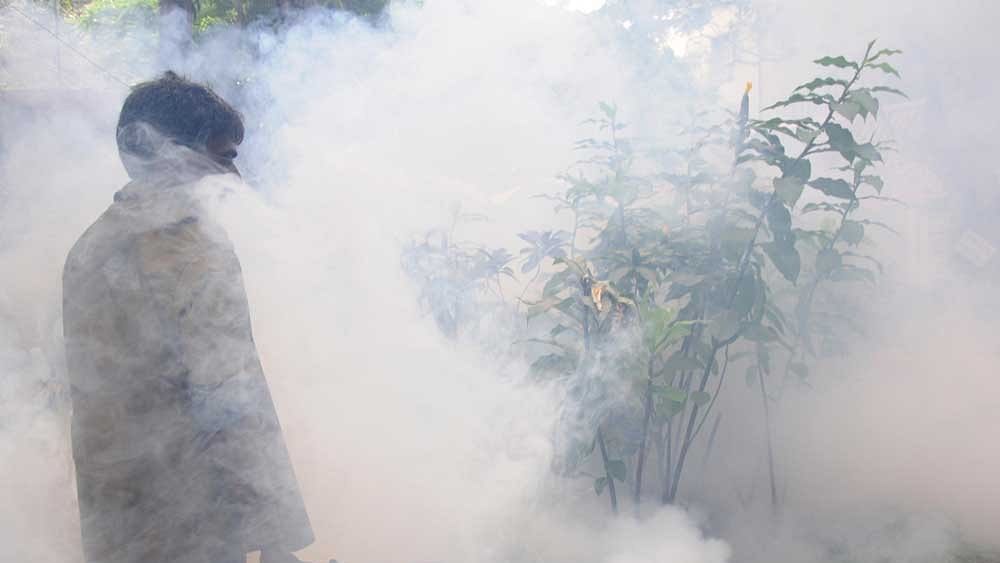 <div class="paragraphs"><p>The total number of positive dengue cases in Karnataka breached the 10,000-mark on Tuesday, with the state recording 10,449 cases, with 358 active hospitalisations.&nbsp;</p><p><br></p></div>