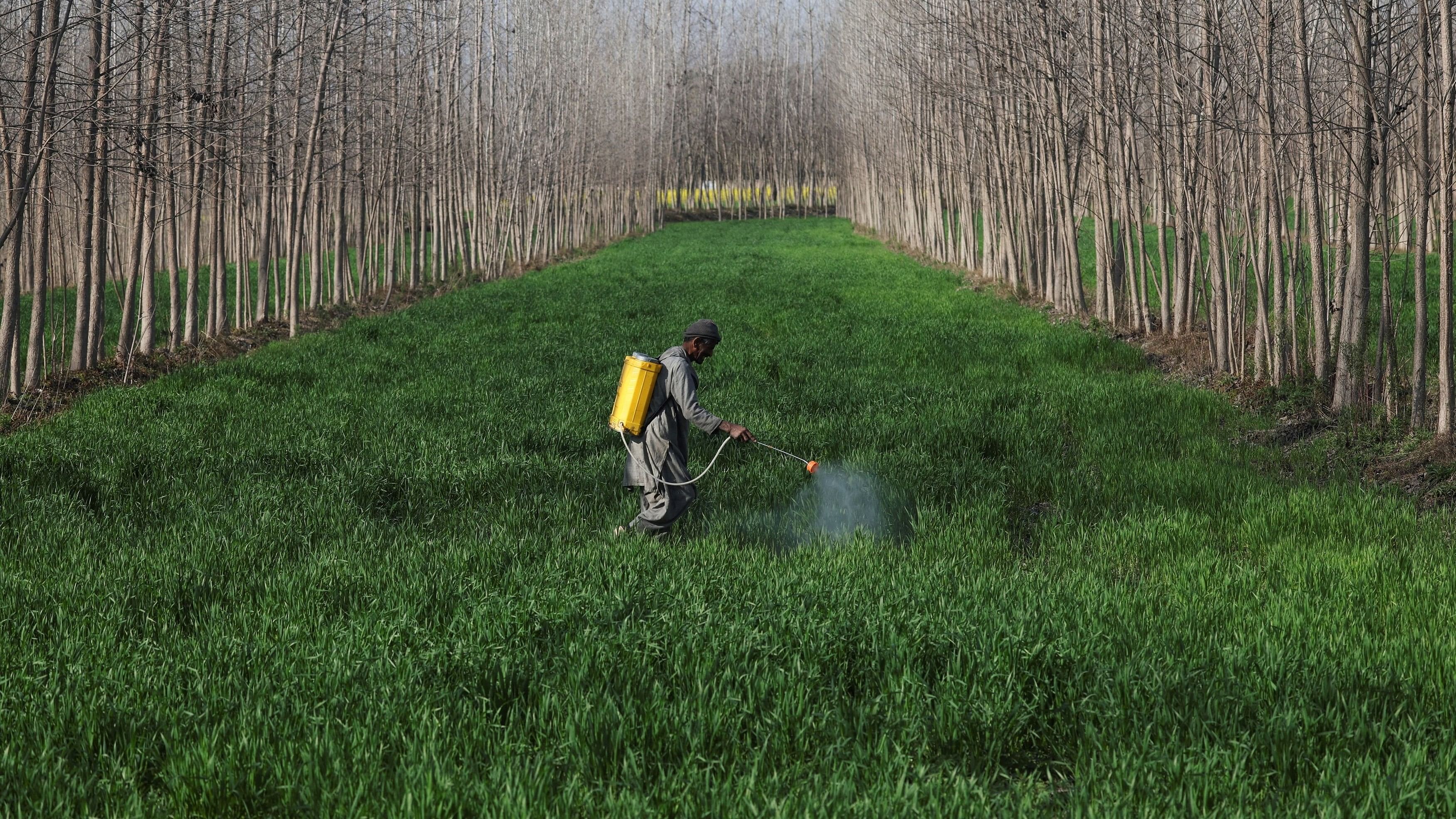 <div class="paragraphs"><p>The effect of exposure to certain pesticides "rivalled" that of smoking in increasing cancer risk in farmers, according to a US study that compiled 69 such chemicals, including four commonly used in India.</p></div>