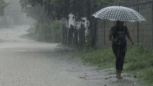 <div class="paragraphs"><p>Representative image of Odisha rain.</p></div>