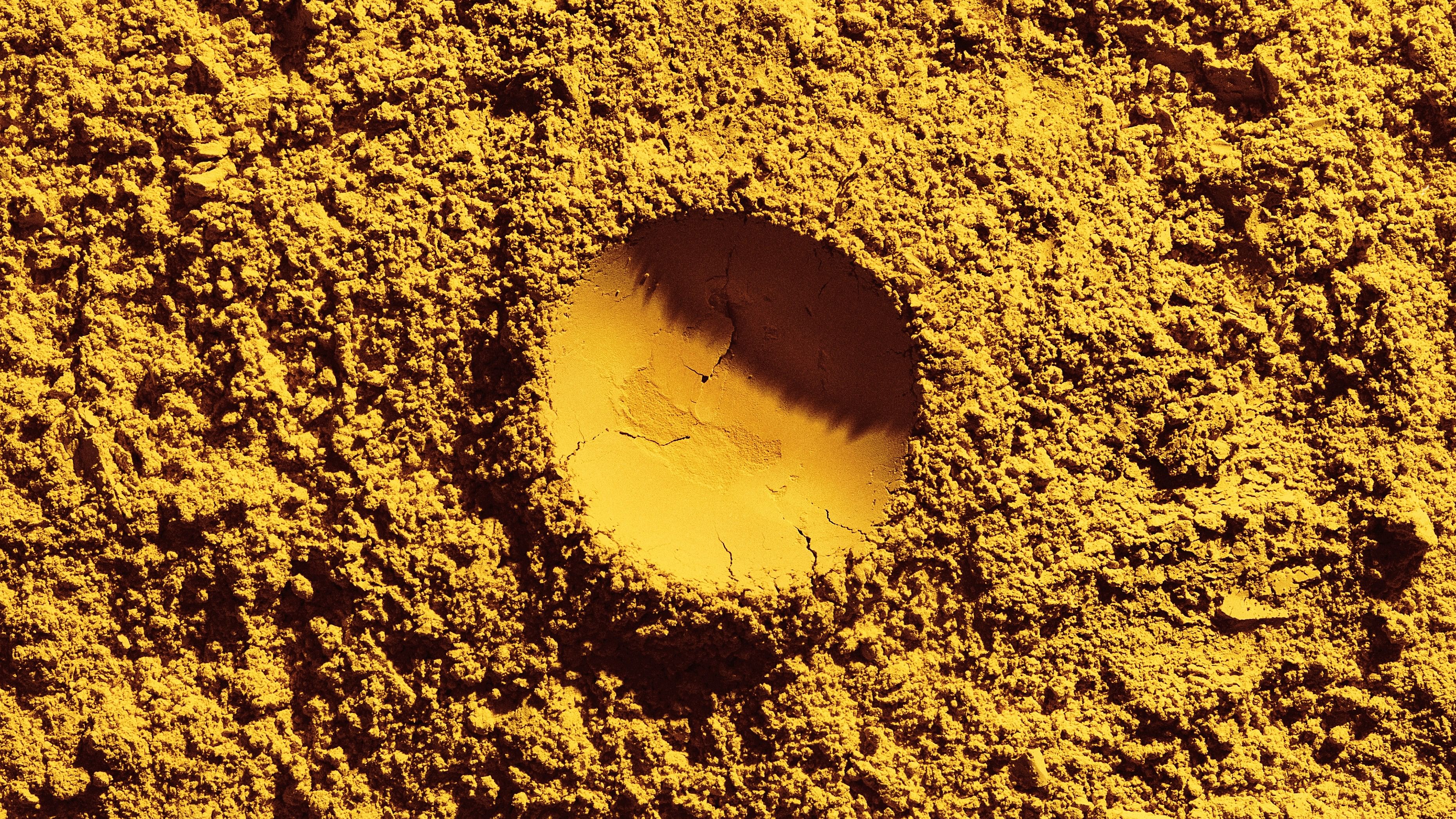 <div class="paragraphs"><p>Closeup of Solein, the yellow nutritious powder.</p></div>