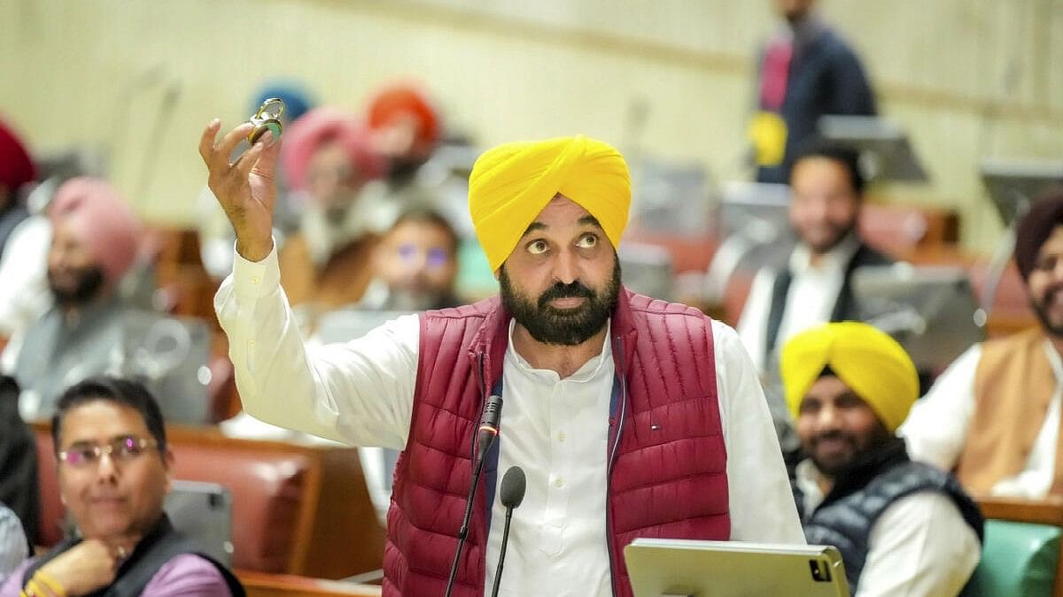 <div class="paragraphs"><p>Punjab Chief Minister Bhagwant Mann</p></div>