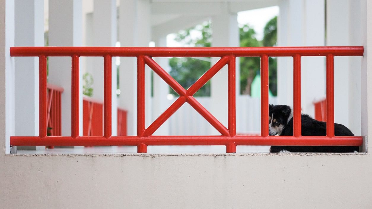 <div class="paragraphs"><p>Representative image showing in a balcony.</p></div>