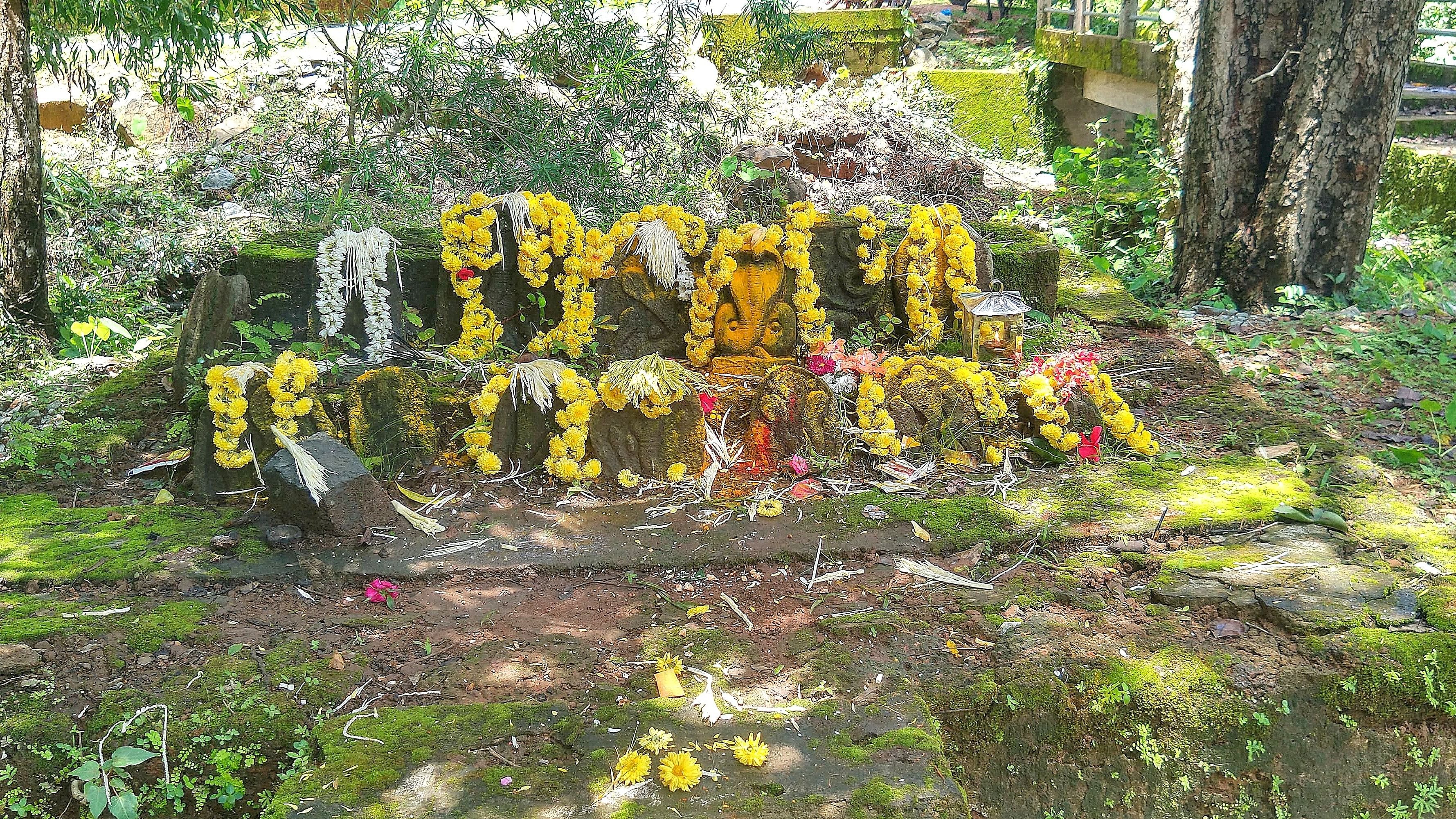 <div class="paragraphs"><p>Serpent stones adorned with flowers in Byndoor of Udupi district; a 'moola nagabana' in Kundapur. </p></div>