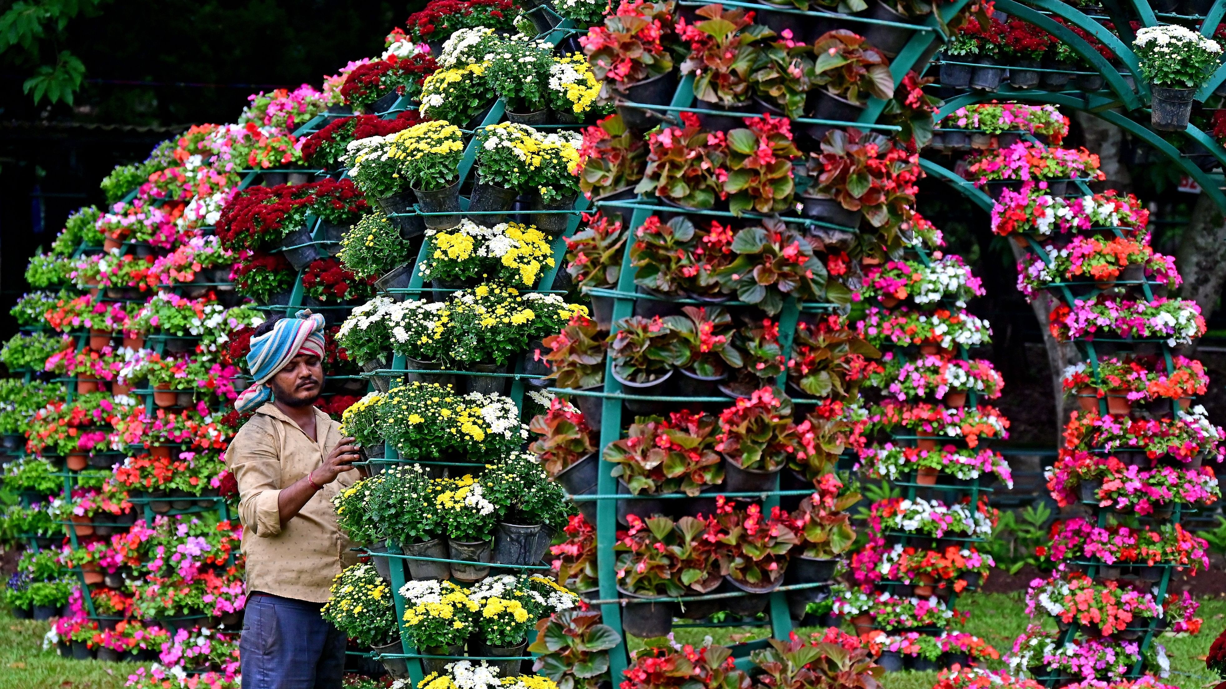 <div class="paragraphs"><p>Preparations underway for the Independence Day flower show at Lalbagh.  </p></div>