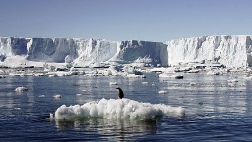 <div class="paragraphs"><p>In the first study of its kind, researchers were able to gauge how levels of ice covering the land have changed over hundreds of thousands of years. They did so by studying peaks protruding through ice in the Ellsworth Mountains, on the Atlantic flank of Antarctica. </p></div>