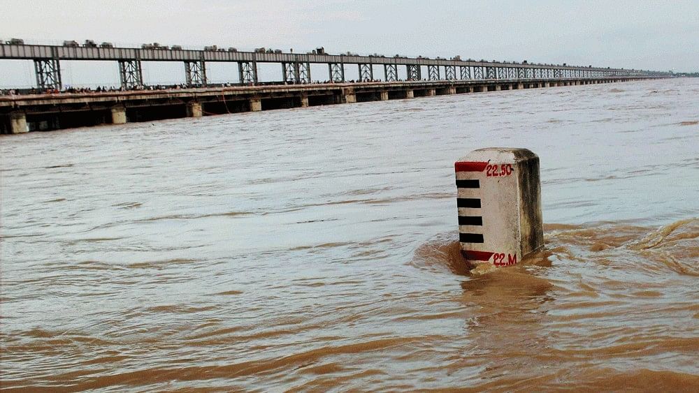 <div class="paragraphs"><p>The Mahanadi river.</p></div>