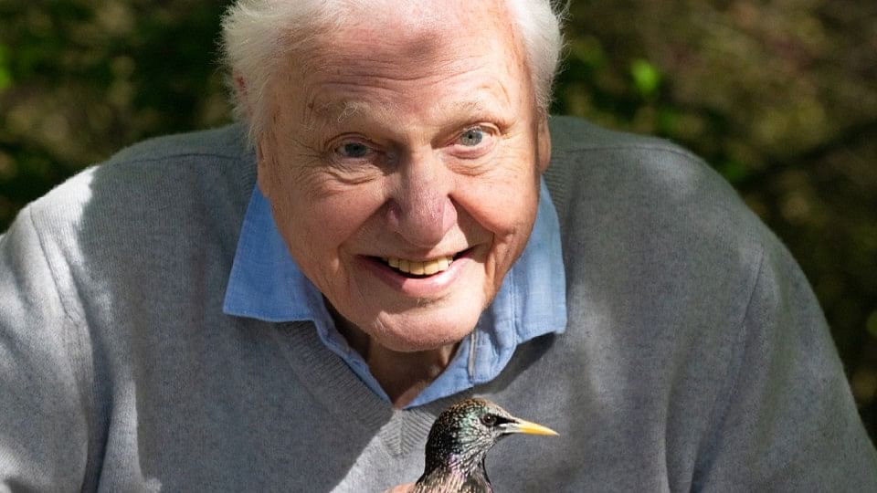 David Attenborough in 'Secret World of Sound with David Attenborough' (2024)