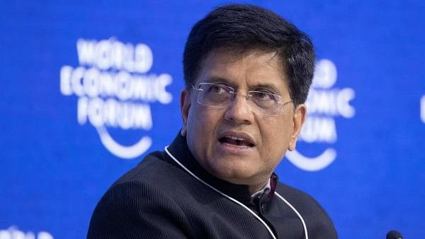 <div class="paragraphs"><p>Union Commerce and Industry Minister Piyush Goyal.&nbsp;</p></div>