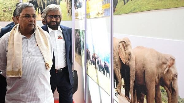 <div class="paragraphs"><p>Chief Minister Siddaramaiah and Forest Minister Eshwar Khandre look on exhibition during the inauguration of international Conference on Human Elephant conflict management at GKVK in Bengaluru on Monday.</p></div>