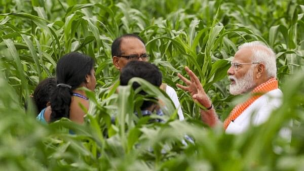 <div class="paragraphs"><p>Prime Minister Narendra Modi with Union Minister for Agriculture and Farmers Welfare Shivraj Singh Chouhan during the release of 109 high yielding, climate resilient and biofortified varieties of crops, at India Agricultural Research Institute, in New Delhi, Sunday, Aug. 11, 2024.</p></div>