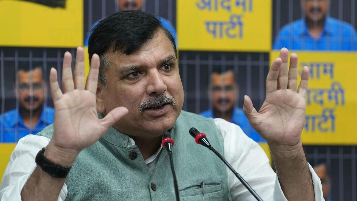 <div class="paragraphs"><p>AAP leader Sanjay Singh.</p></div>