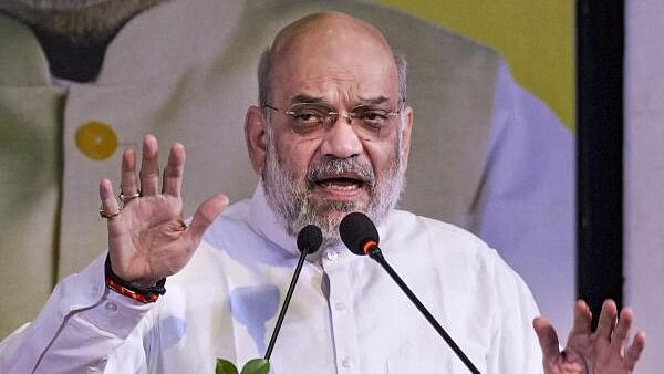 <div class="paragraphs"><p>Union Home Minister Amit Shah.&nbsp;</p></div>