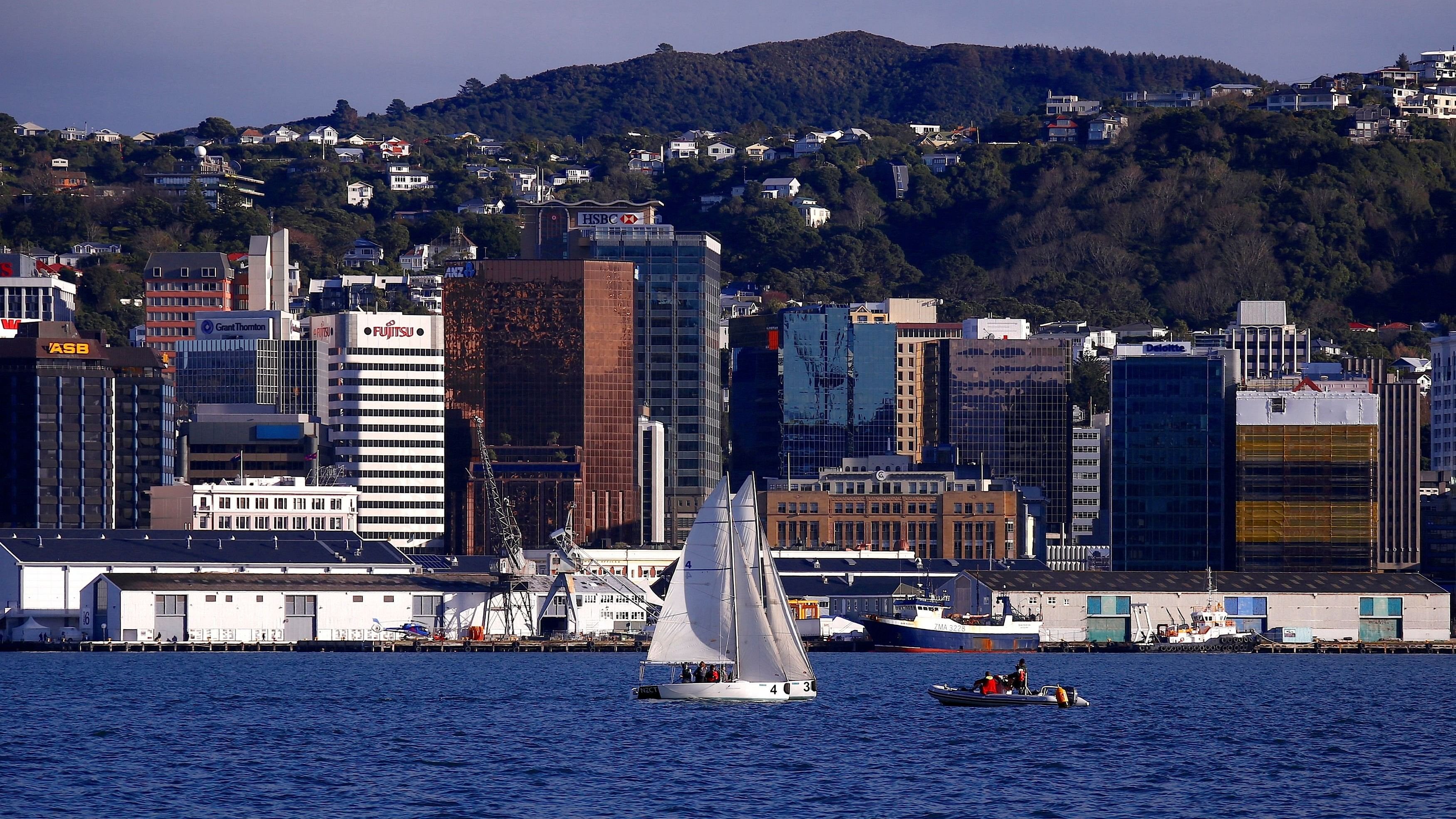 <div class="paragraphs"><p>Central business district  of Wellington in New Zealand.</p></div>