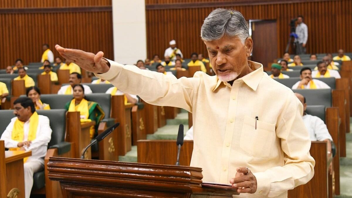 <div class="paragraphs"><p>Andhra Pradesh Chief Minister N Chandrababu Naidu </p></div>