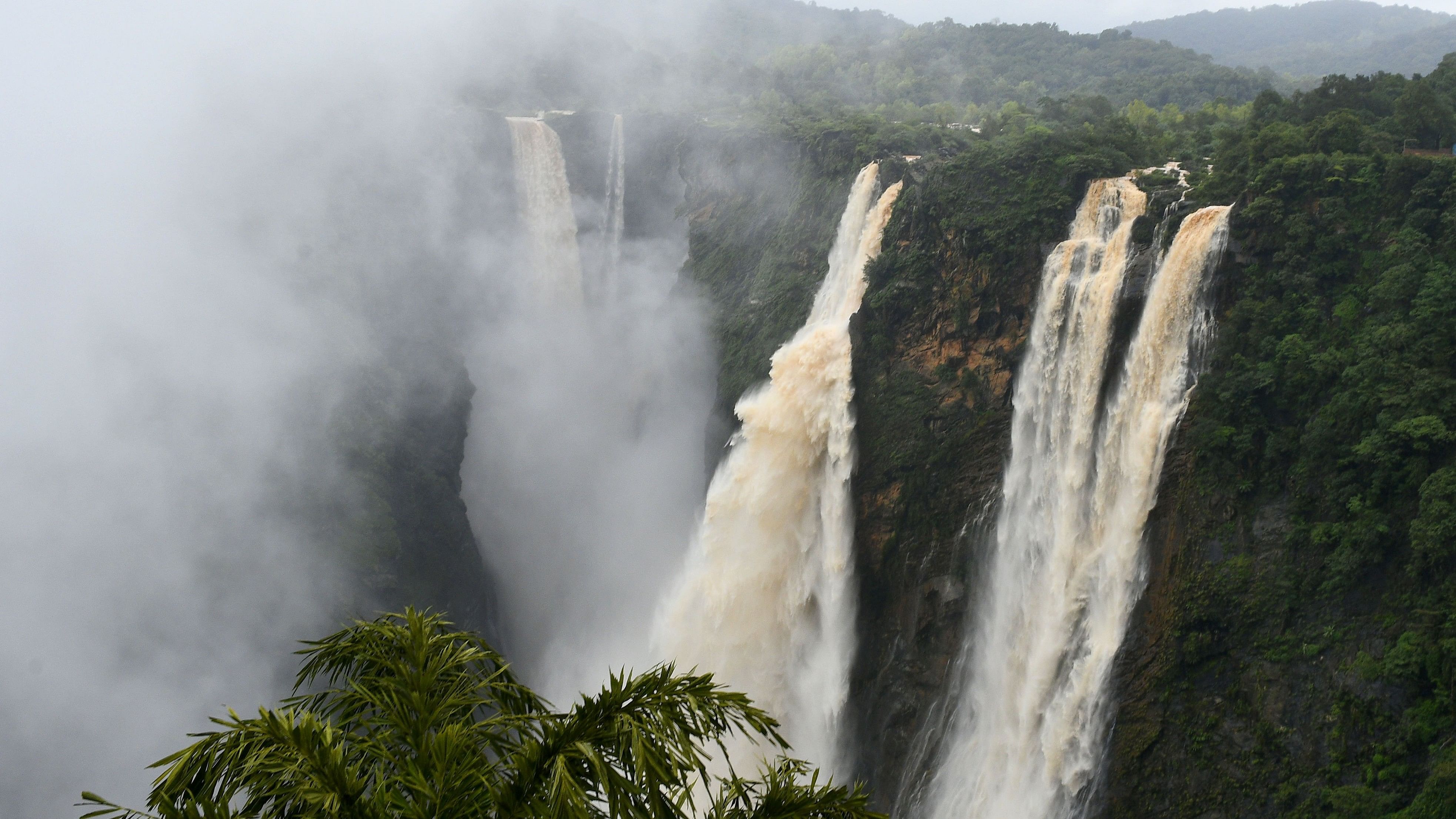 <div class="paragraphs"><p>Six acres of forest land might be used for the execution of development projects at the famed Jog Falls, including a cable car that is expected to link the proposed five-star hotel with the existing British bungalow covering a distance of around 500 metres. </p></div>