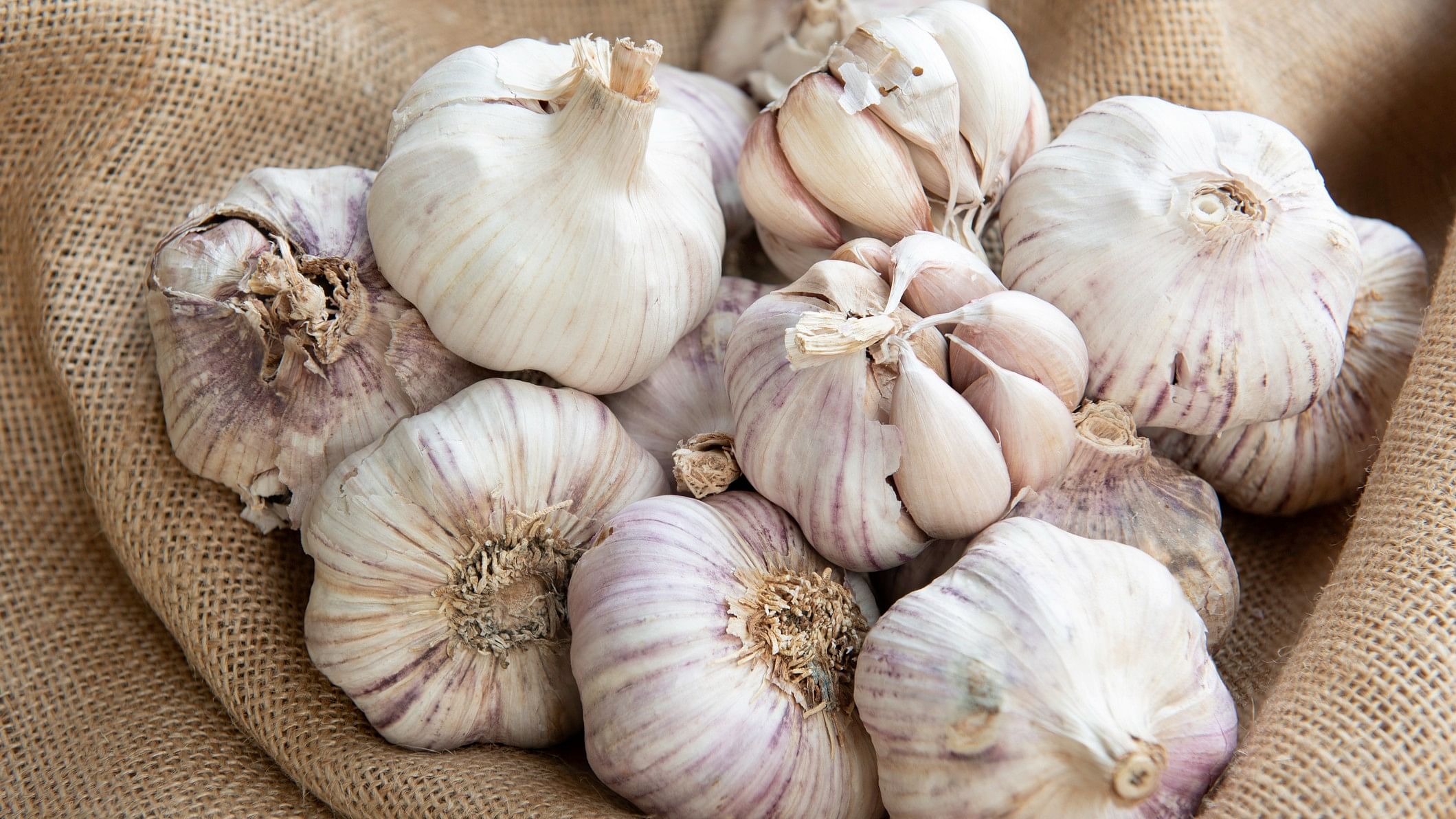 <div class="paragraphs"><p>Representative image showing garlic.</p></div>