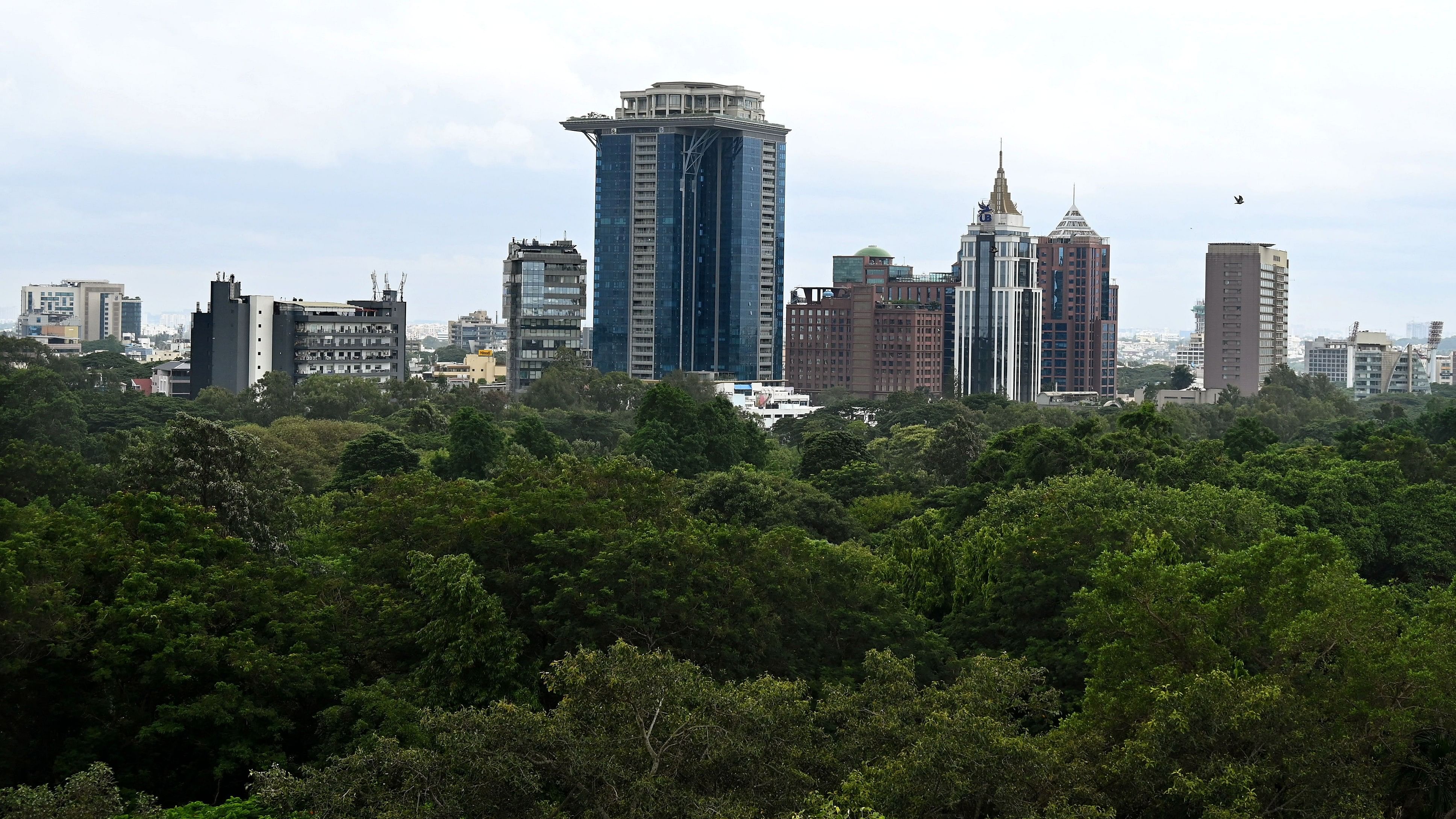 <div class="paragraphs"><p>Aerial view of Cubbon Park and surrounding buildings in Bengaluru city.</p></div>