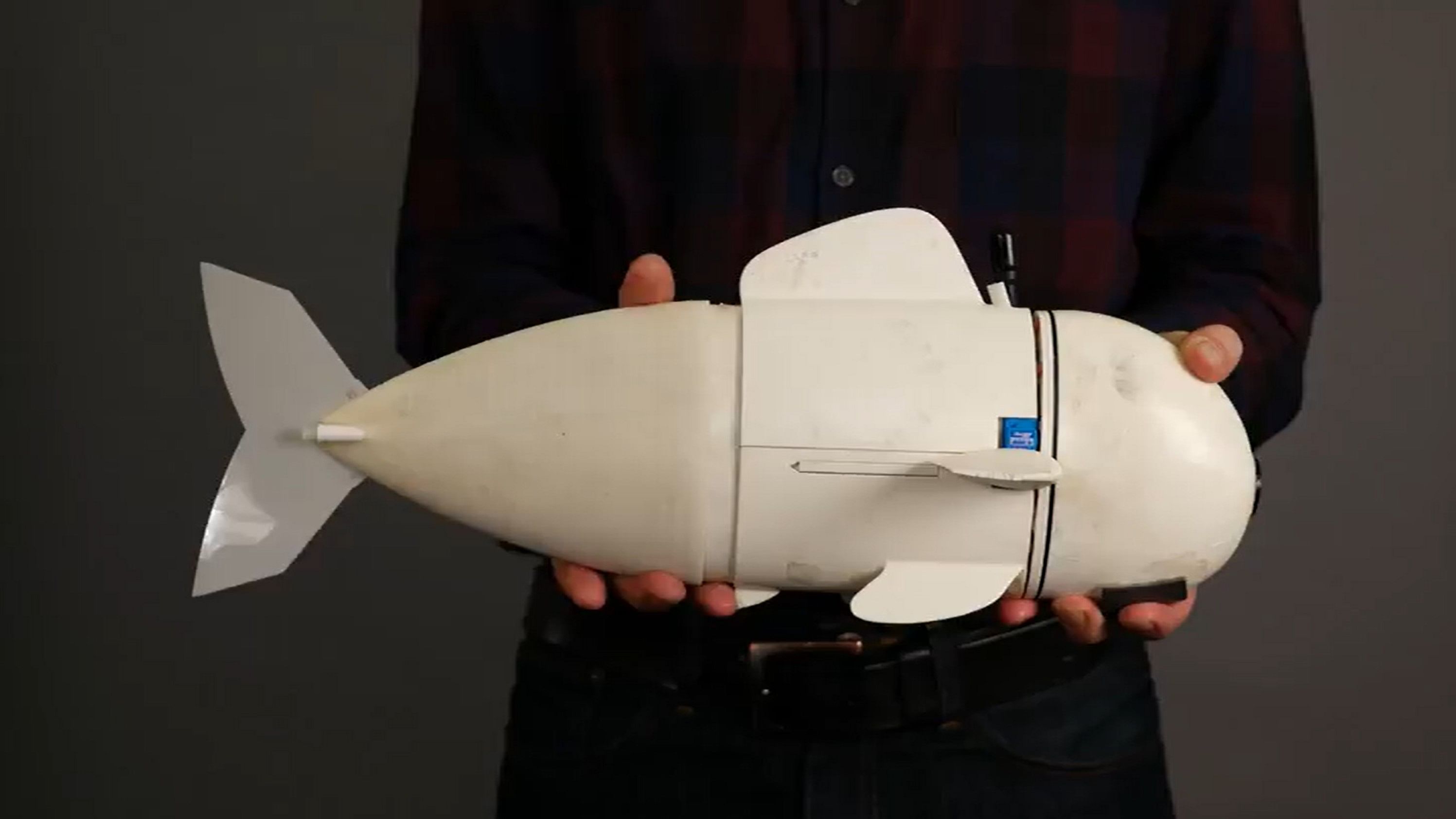 <div class="paragraphs"><p>Eve, the robotic fish.</p></div>