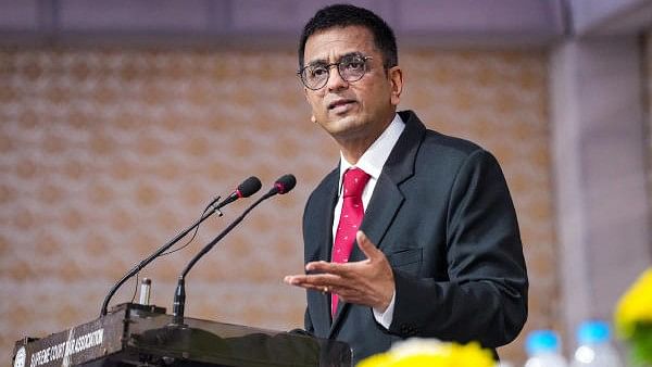 <div class="paragraphs"><p>Chief Justice of India (CJI) Justice D Y Chandrachud</p></div>