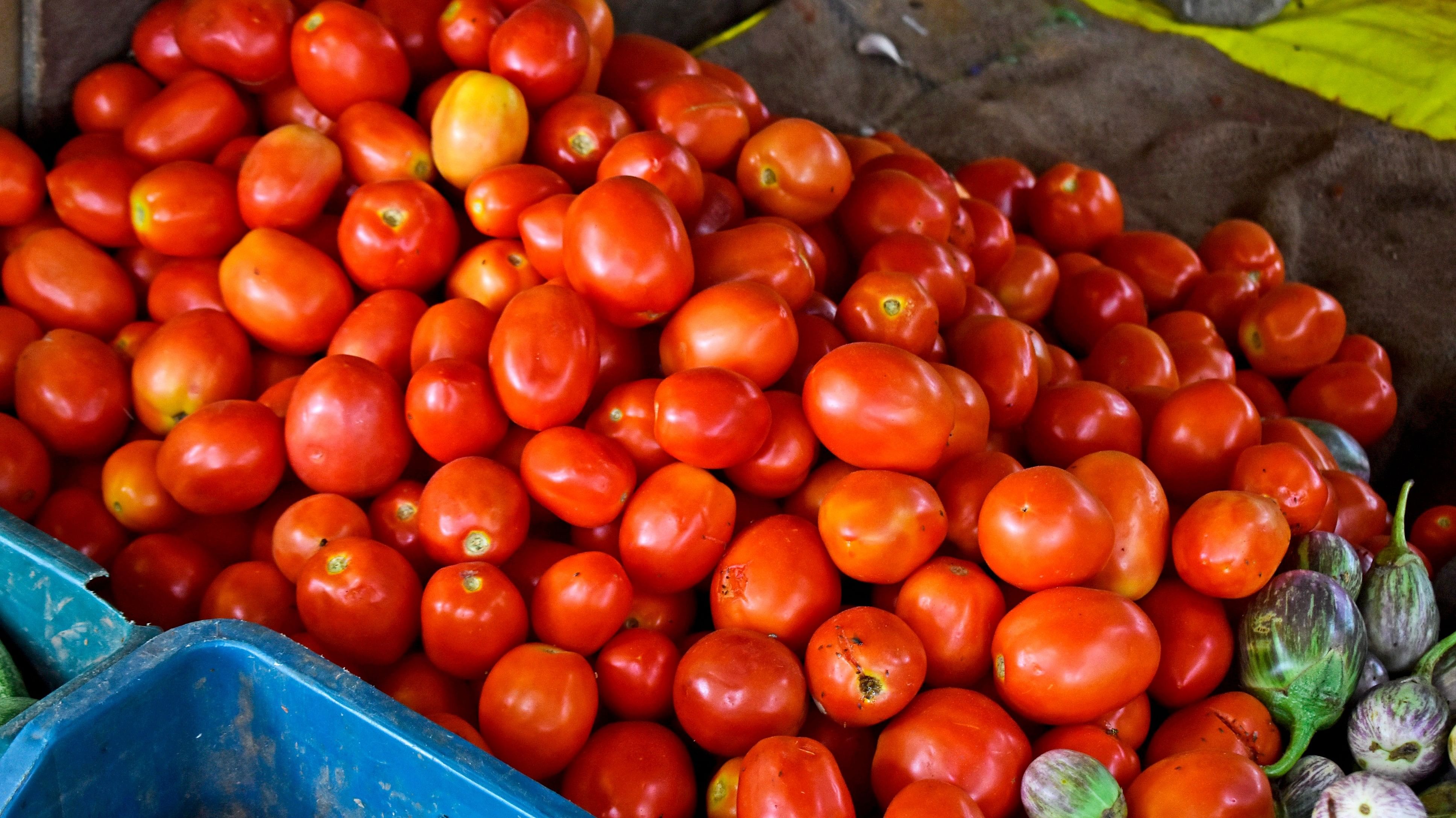 <div class="paragraphs"><p>The political unrest in neighbouring Bangladesh has impacted farmers of Kolar, with tomato prices crashing as West Bengal’s traders are unable to transport them to Bangladesh.</p></div>