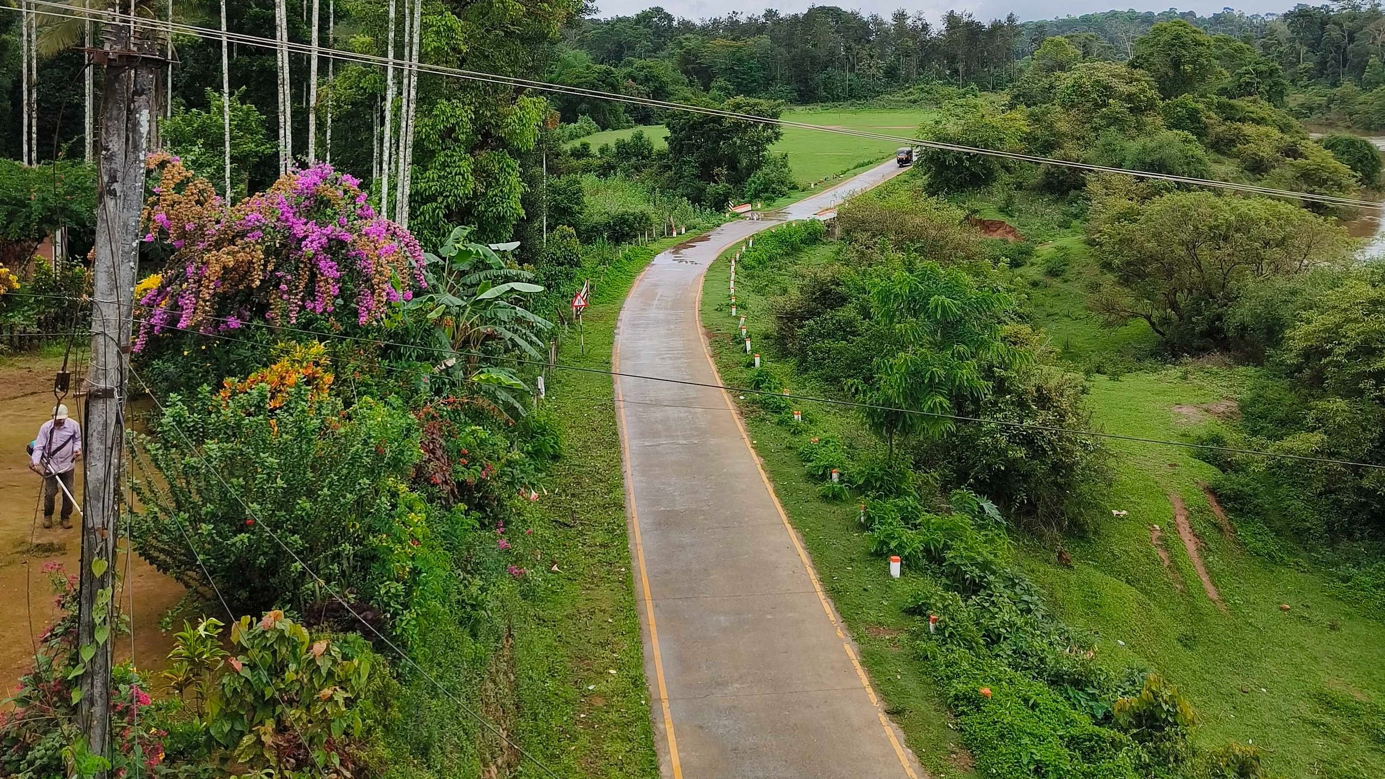 <div class="paragraphs"><p>An idyllic road in&nbsp;Balamuri&nbsp;village in Madikeri Taluk in Kodagu District</p></div>