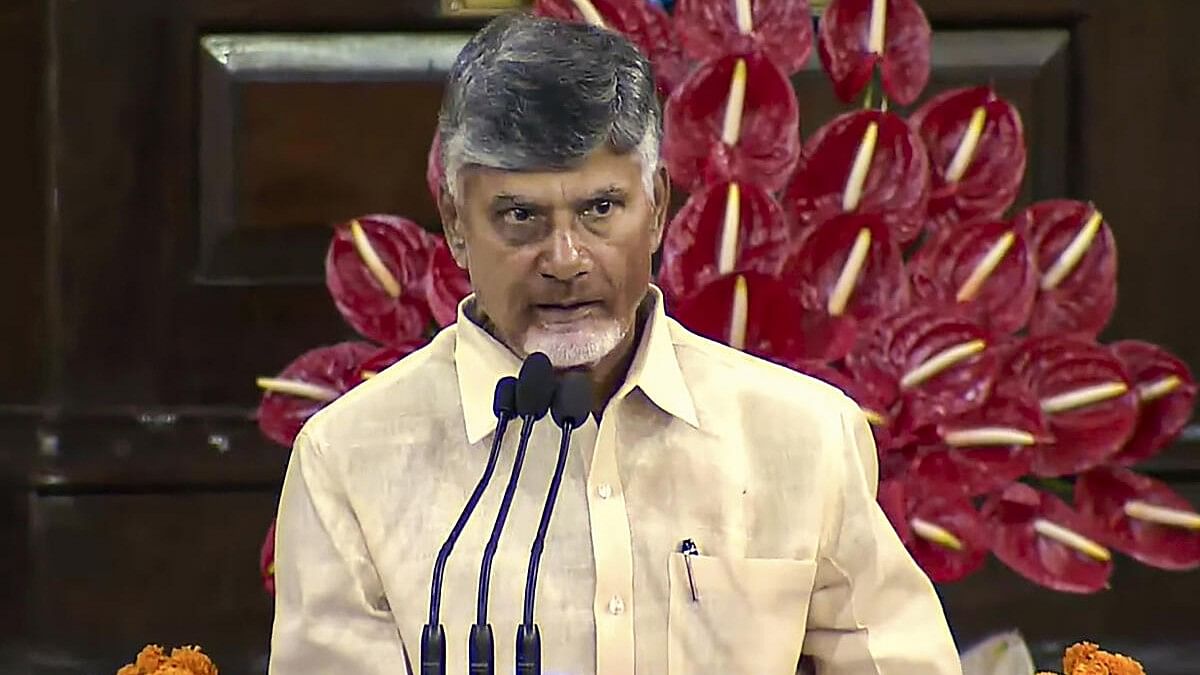 <div class="paragraphs"><p>N Chandrababu Naidu</p></div>