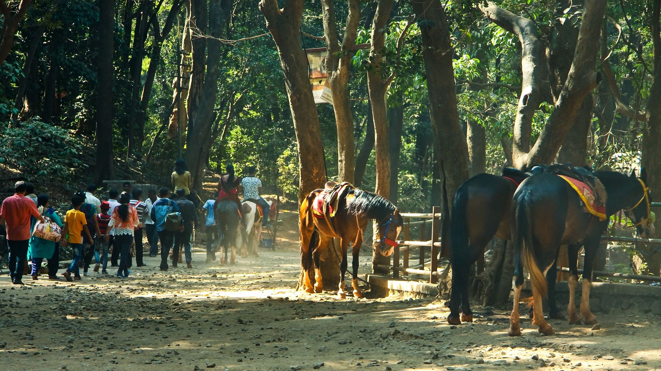 <div class="paragraphs"><p>Horses are seen in Matheran</p></div>