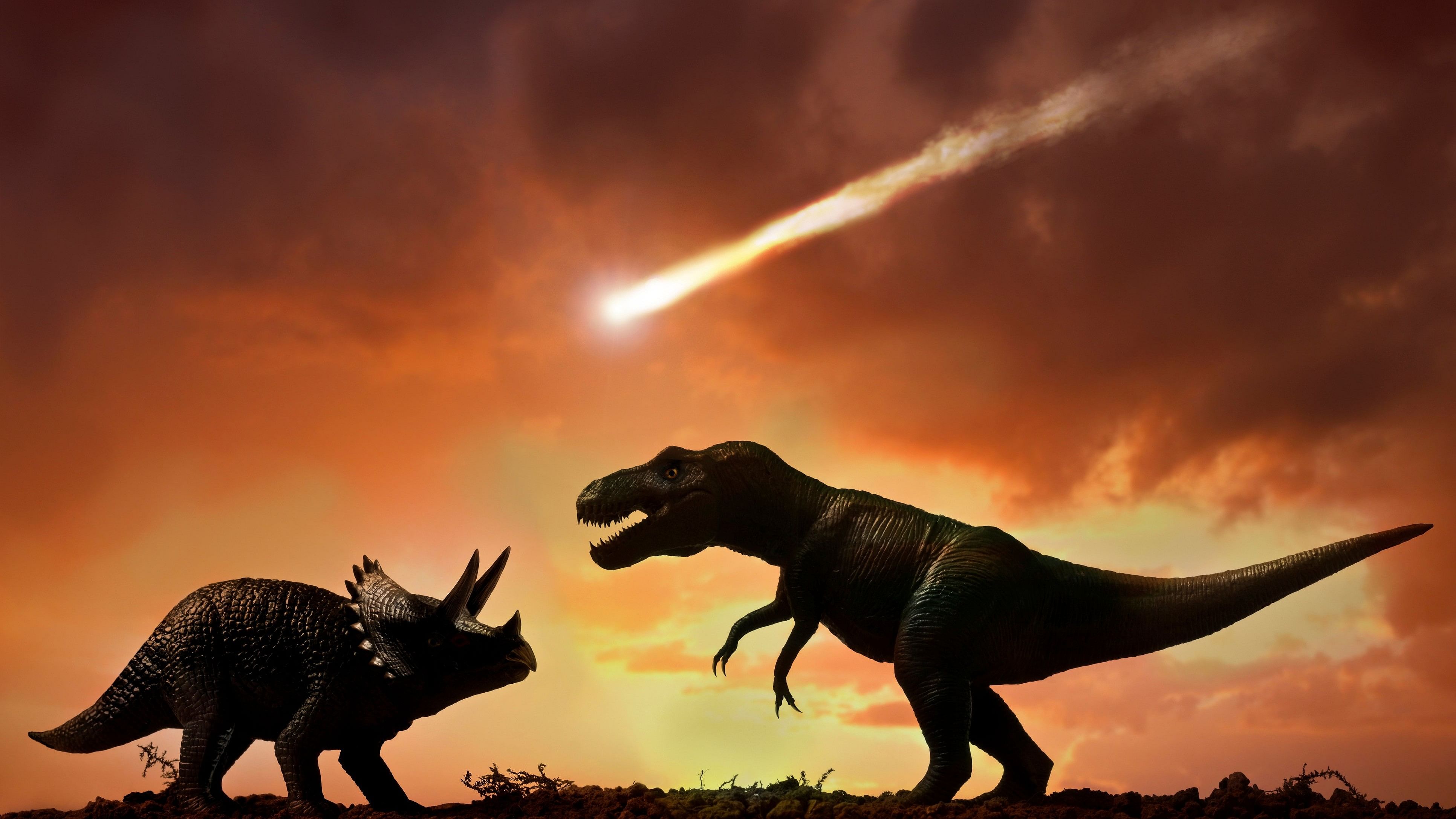 <div class="paragraphs"><p>Illustration of dinosaurs amid the asteroid that fell on Earth.&nbsp;</p></div>