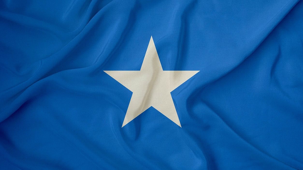 <div class="paragraphs"><p>Flag of Somalia.</p></div>